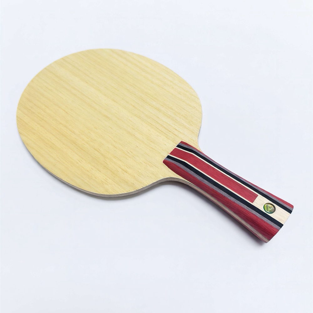 Table Tennis Custom Bat - Fan ZD Golden Logo Racchetta da