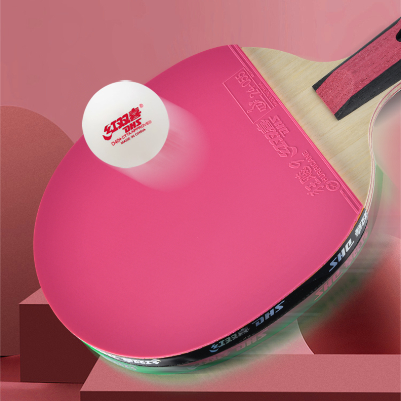 DHS 6 Star Racchetta da ping p - Table Tennis World recensione e prezzo