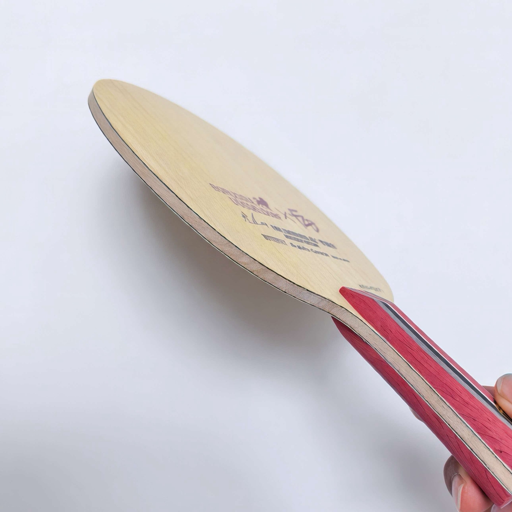 Fan ZD Golden Logo Racchetta d - Table Tennis Custom Bat recensione e prezzo